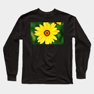 Yellow flower close-up against blurry green background Long Sleeve T-Shirt